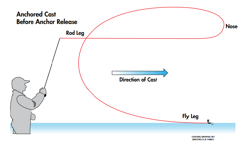 Trailing Loop 2